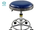 430 X 400 Mm ESD Safety Clean Room Blue Chair With Plastic Five Star Feet